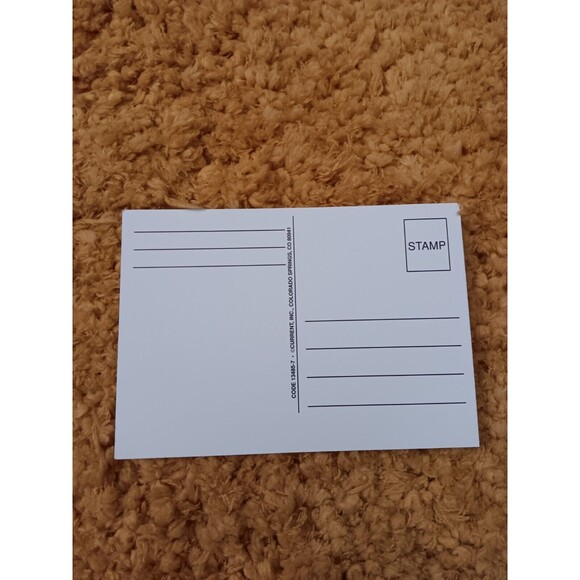 UNUSED Postcard Poinsettias A Merry Christmas Current, INC. - Picture 2 of 2